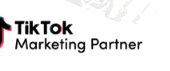 Yandex Partner
